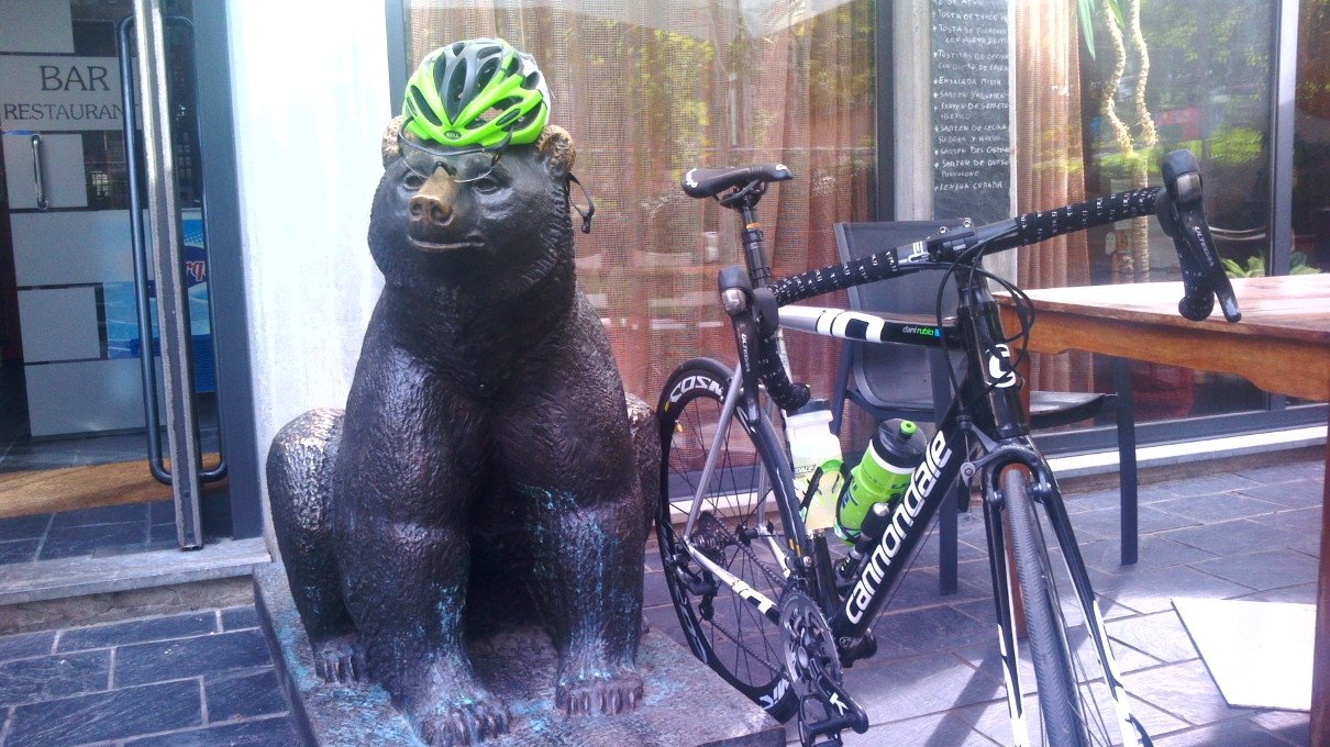 oso ciclista